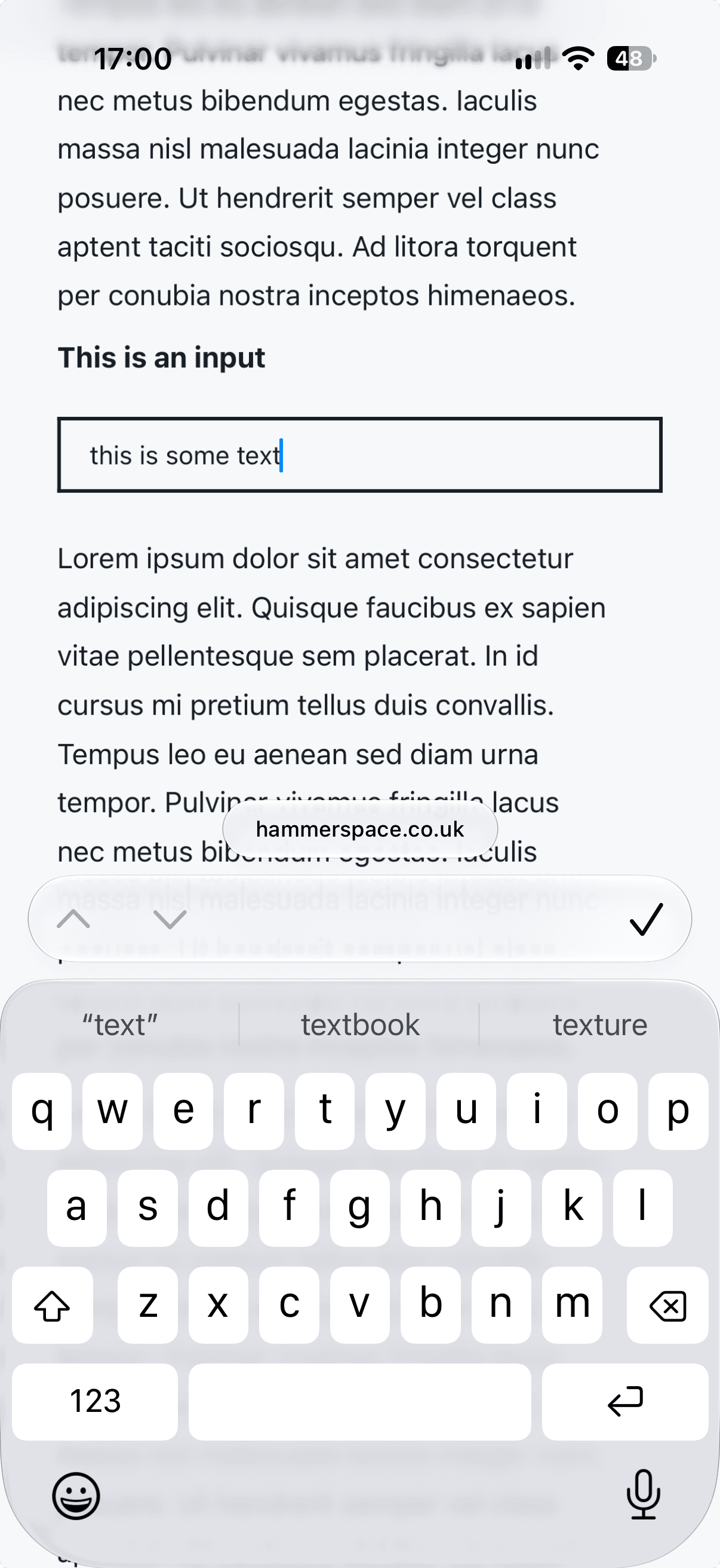 A screenshot of iOS Safari showing Lorem Ipsum text and a focused input in the middle.