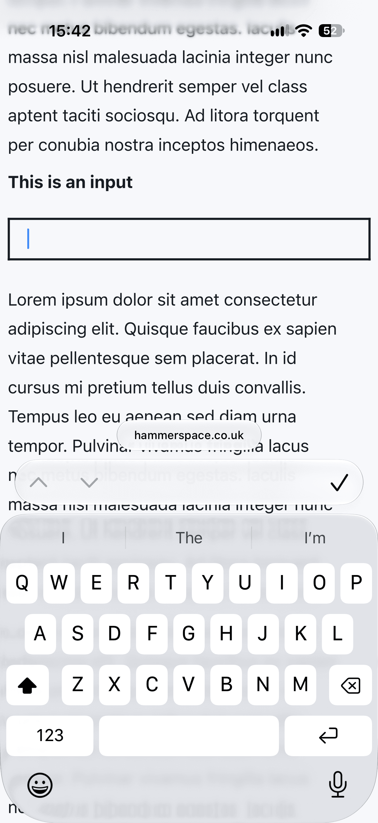 A screenshot of iOS Safari showing Lorem Ipsum text and a focused text input in the middle. The page is slightly zoomed